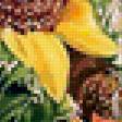 Предпросмотр схемы вышивки «Подсолнухи» (№94670)