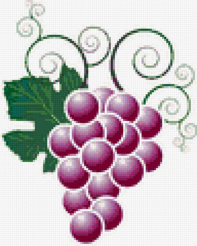 гроздь - виноград - предпросмотр