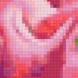 Предпросмотр схемы вышивки «розы» (№94695)