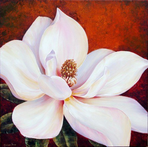 Магнолия - цветы, магнолия - оригинал