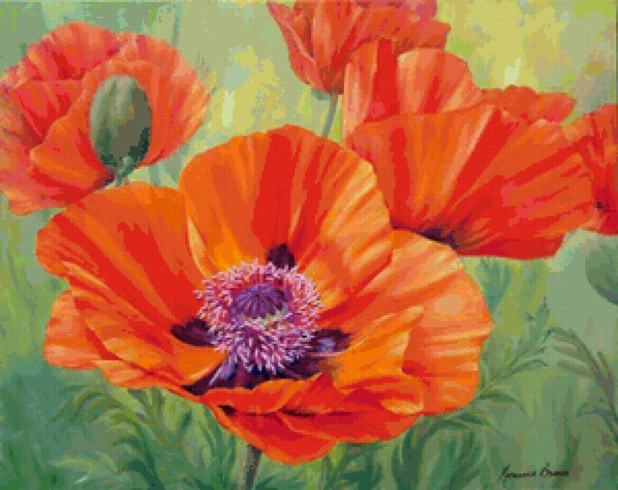 Маки - маки, цветы, букет - предпросмотр