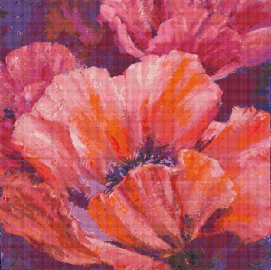 Мак - маки, цветы, букет - предпросмотр