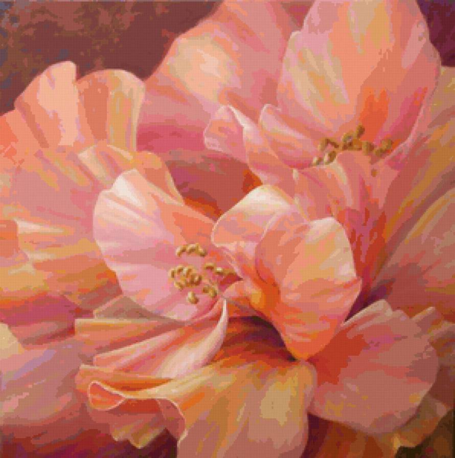 Нежный цвет - букет, магнолии, цветы - предпросмотр