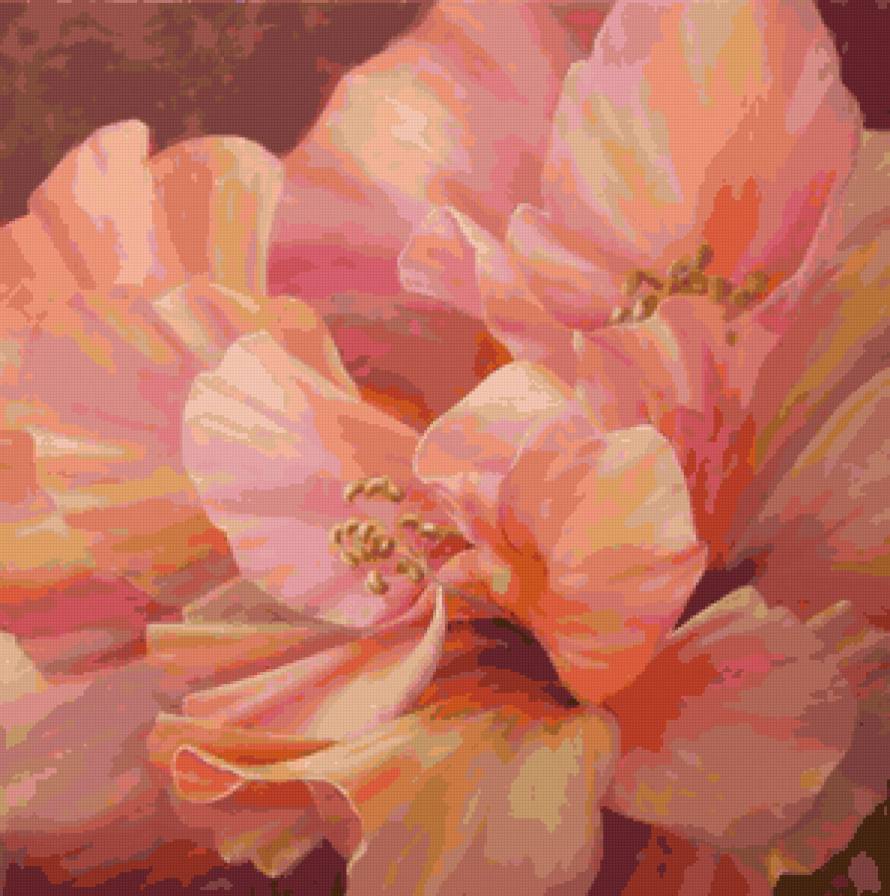 Нежный цвет - букет, цветы, магнолии - предпросмотр