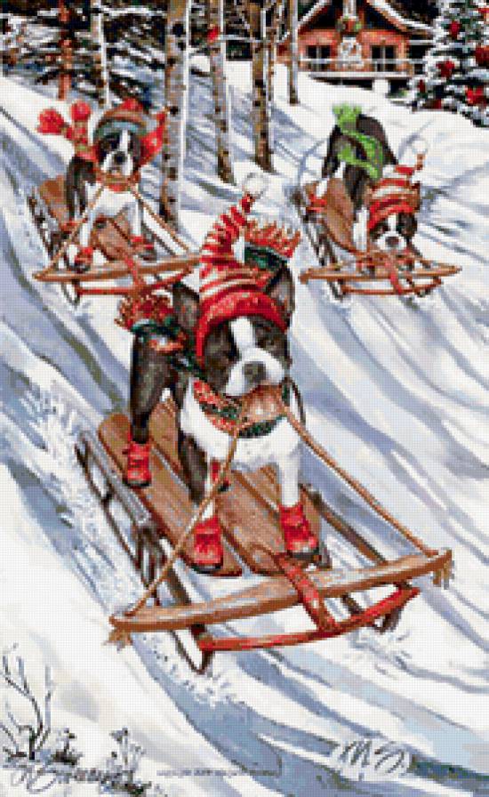 19 - животные, собаки, рождество, новогоднее - предпросмотр