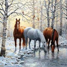 Лошадки зимой