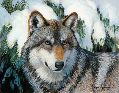 Волк - природа. зима, animals, звери, волк, хищник, волки, wolf - оригинал