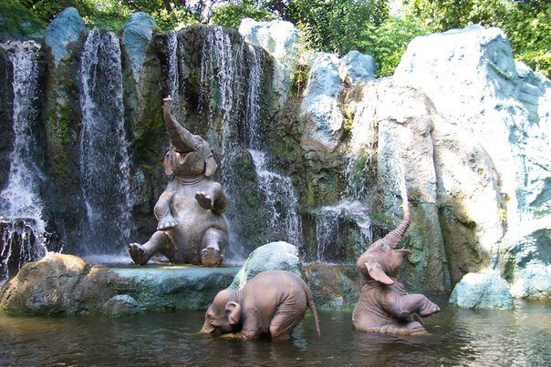 Веселые слоники - водопад, слоны, озеро, природа - оригинал