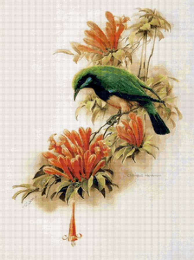 "Птицы"  Зенг Ксиао Лиан - птицы, цветы, природа, живопись, птица, акварель - предпросмотр