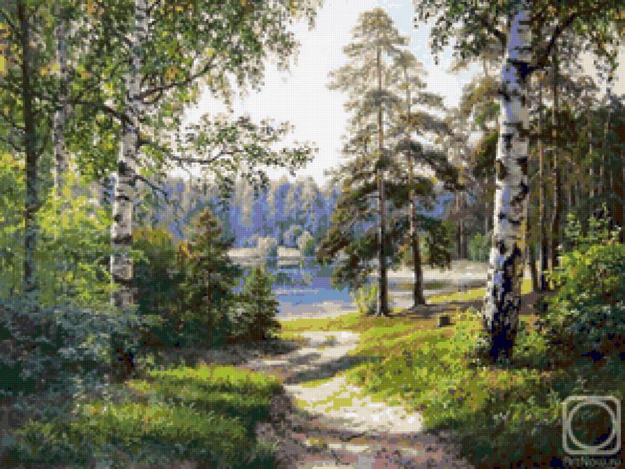 В лесу - дорога, природа, березки, лето, красота, березка, пейзаж, лес - предпросмотр