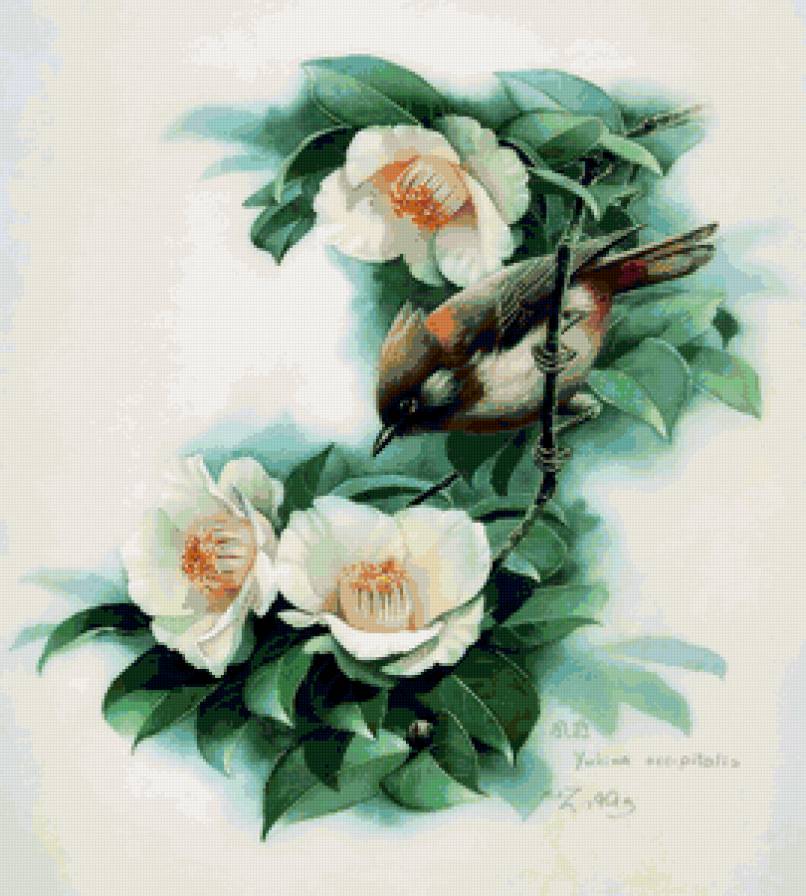 "Птицы"  Зенг Ксиао Лиан - акварель, живопись, птица, цветы, природа, птицы - предпросмотр