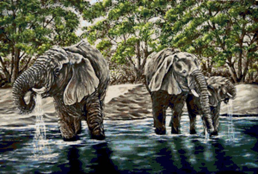 Слоны - водопой, животные, слон, слоны, слоники, природа - предпросмотр