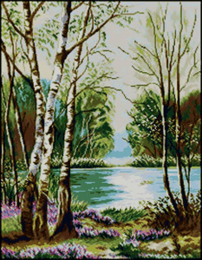 природа - березы, пейзаж - предпросмотр