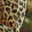 Предпросмотр схемы вышивки «леопард» (№94959)
