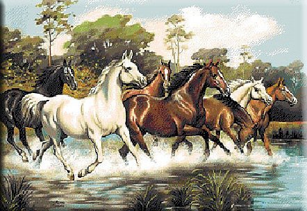 №95019 - лошади, пейзаж, животные - оригинал