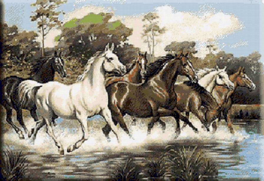 №95019 - животные, лошади, пейзаж - предпросмотр