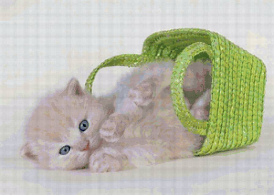 Котенок - кошки - предпросмотр