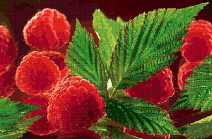 Малинка - ягоды - предпросмотр