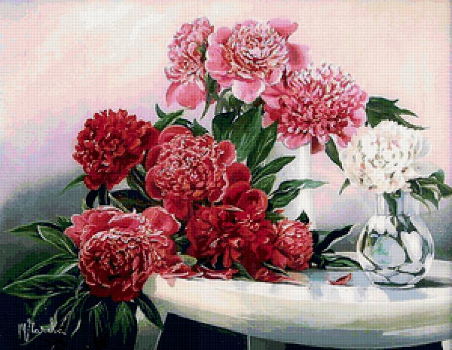Пионы - живопись, чачева татьяна - предпросмотр