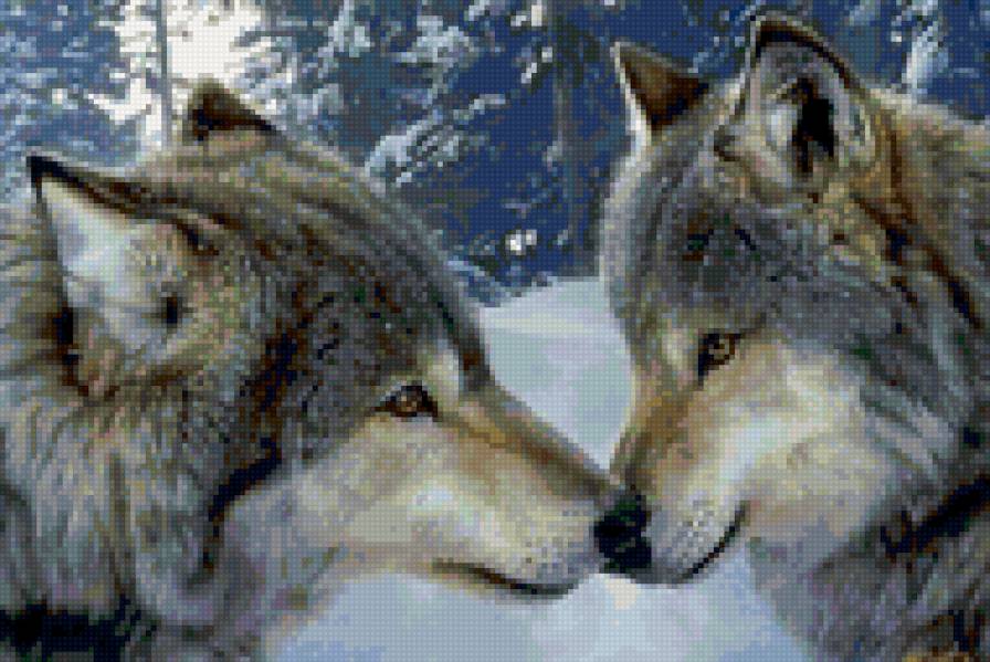 волки - животные - предпросмотр