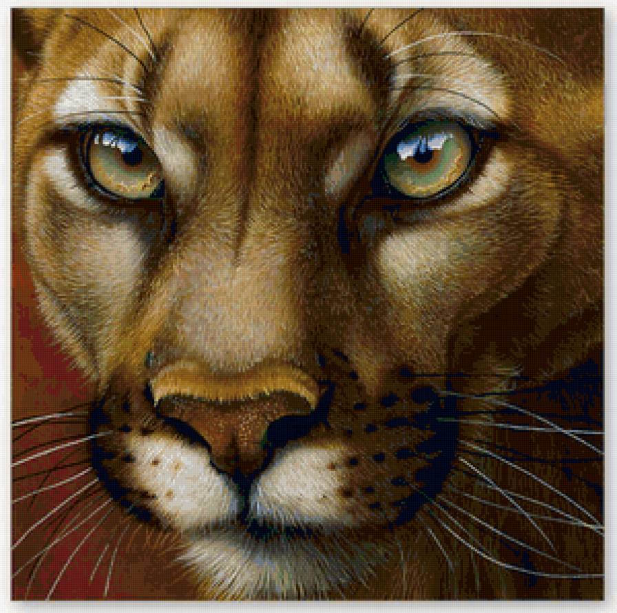 Кошки - кошки - предпросмотр