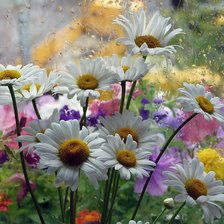 Схема вышивки «букет»