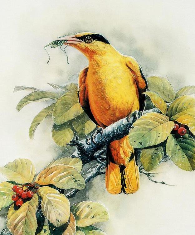 Птицы - природа, картина, птицы, анималисты - оригинал