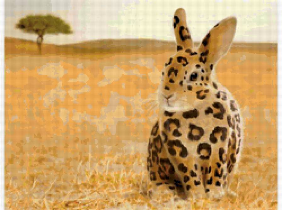 кролики бывают разные - животные, африка, кролик - предпросмотр