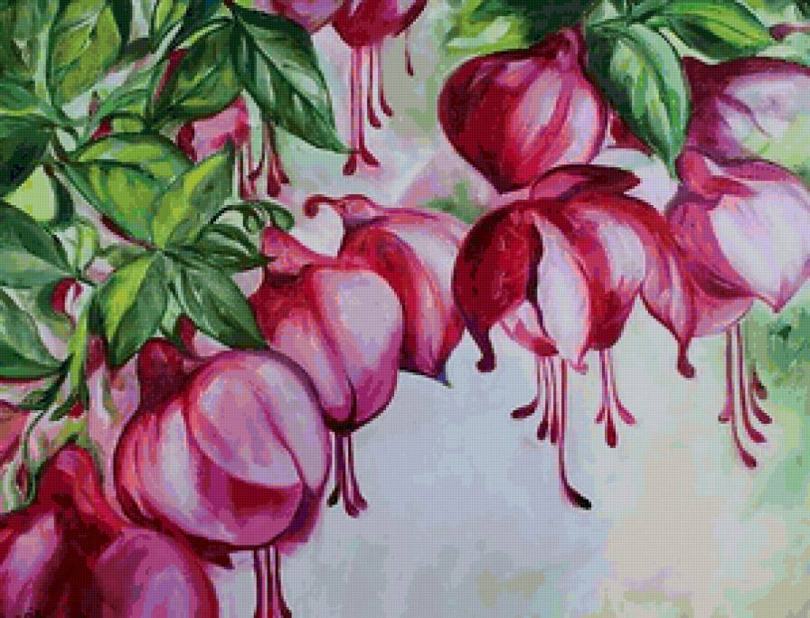 фуксия - фуксия - предпросмотр