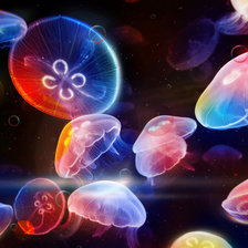 Оригинал схемы вышивки «медузы» (№95590)