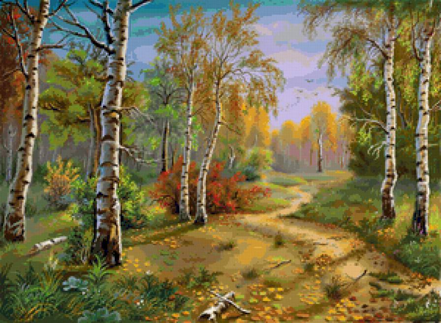 березы, лес, природа - березы, природа, лес - предпросмотр