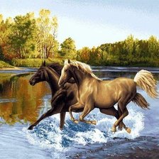 лошади, река, природа