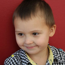 Схема вышивки «ронуля»