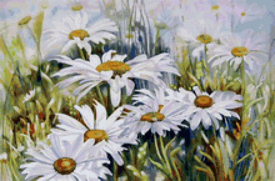 Ромашки - ромашки, цветы - предпросмотр