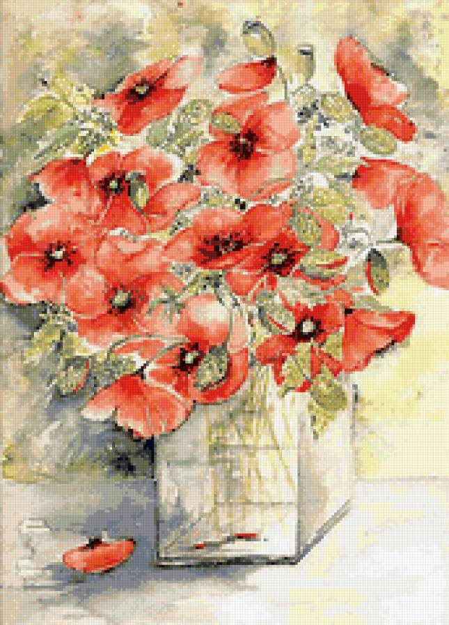 маки - цветы, маки - предпросмотр