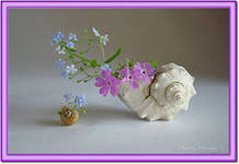 натюрморт - красиво - оригинал