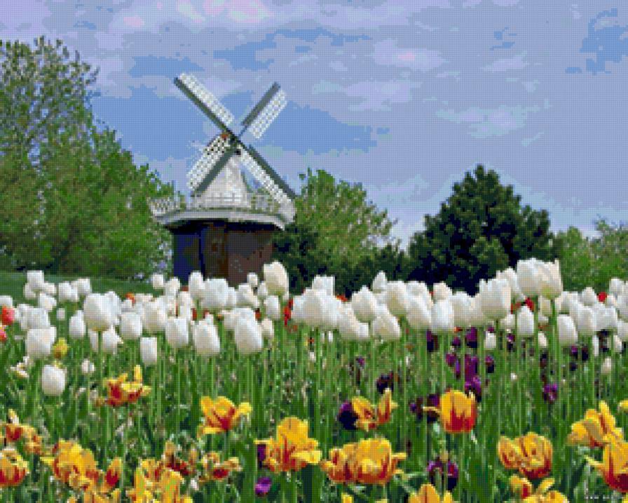 Пейзаж с мельницей - луг, мельница, цветы, тюльпаны, ирисы, поле, пейзаж, природа - предпросмотр