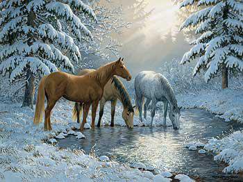 Лошади - животные, природа, зима, лошади, закат, пейзаж, озеро, лес, вечер - оригинал