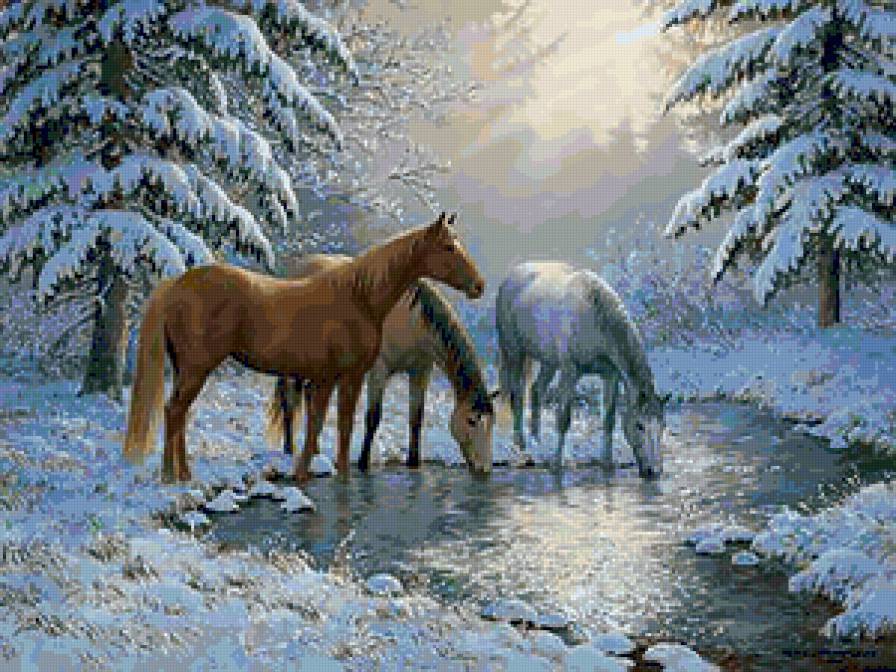 Лошади - животные, зима, лошади, пейзаж, закат, вечер, природа, озеро, лес - предпросмотр