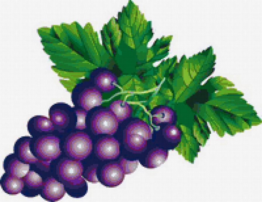 Синий виноград - еда, виноград, фрукты, кухонная тематика - предпросмотр