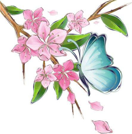 Бабочка на цветке - бабочка, бабочка на цветке, цветок, насекомое - оригинал