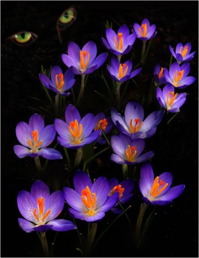 №96425 - оригинал