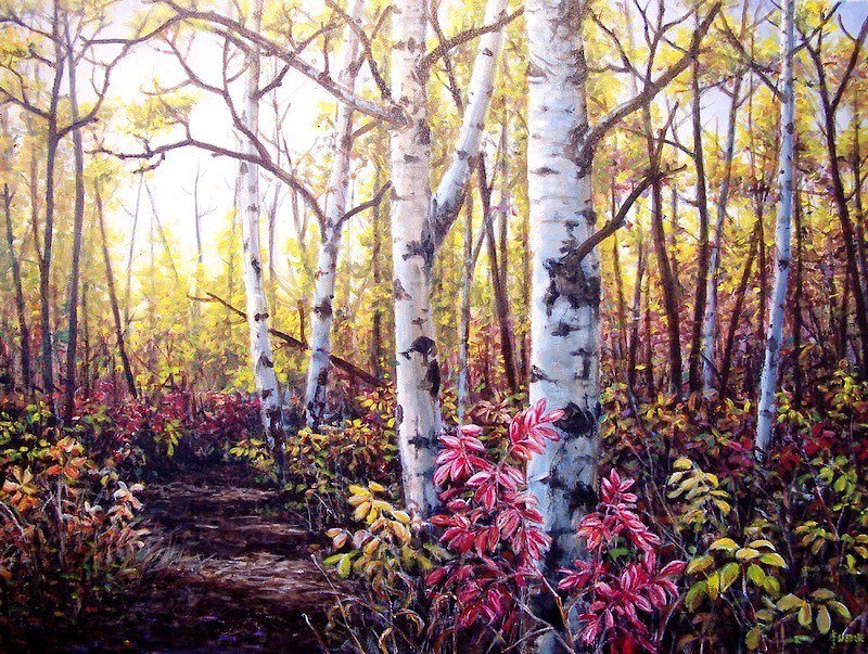 Осенний лес - лес, forest, nature, пейзаж, осень, autumn, природа - оригинал