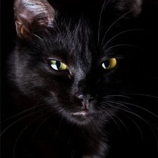 Оригинал схемы вышивки «черный кот» (№96670)
