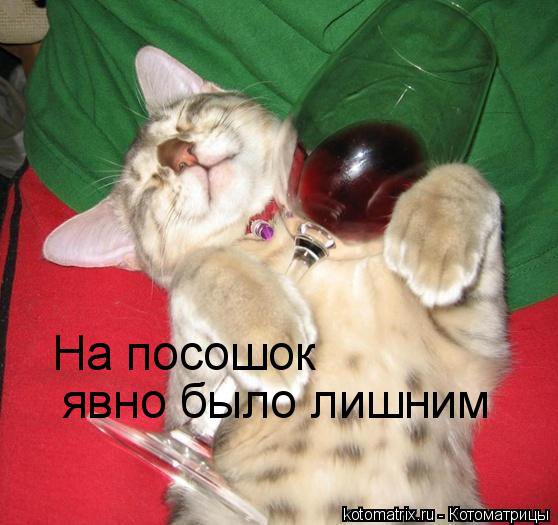 Прикол - юмор - оригинал