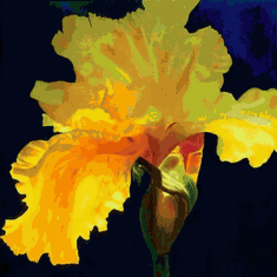 желтый ирис - цветы, ирисы - предпросмотр