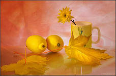 натюрморт - лимончики - оригинал