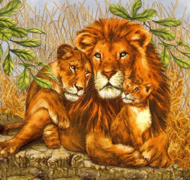 Львиная семья - лев, дикие животные, львы, семья, звери, животные, африка - оригинал