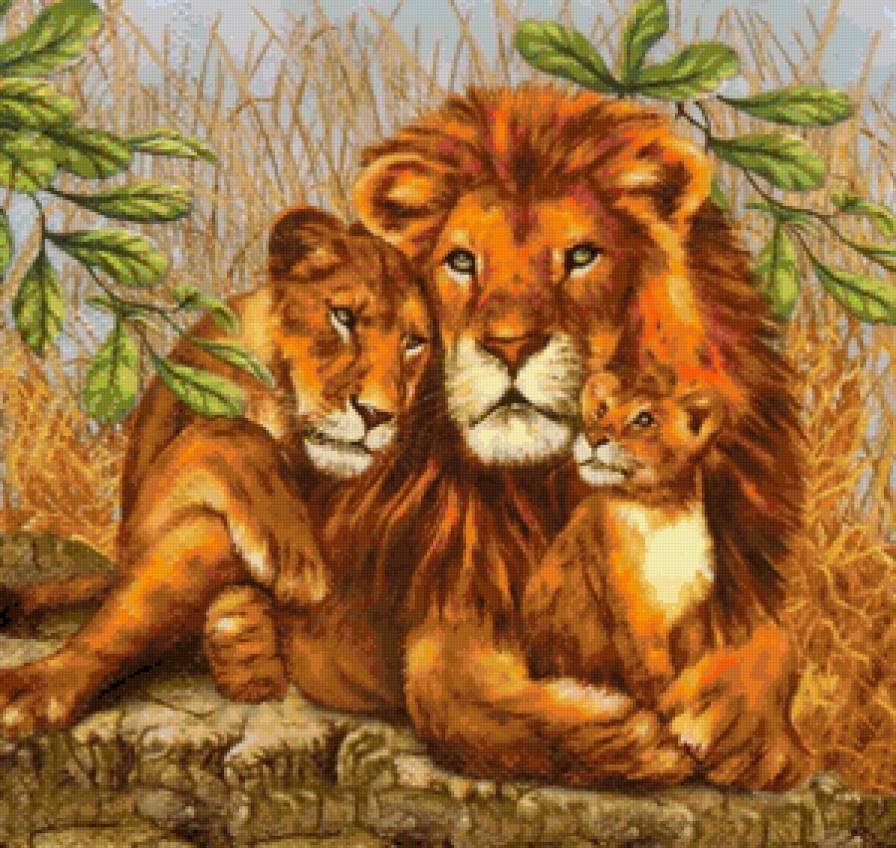 Львиная семья - животные, лев, африка, дикие животные, львы, семья, звери - предпросмотр