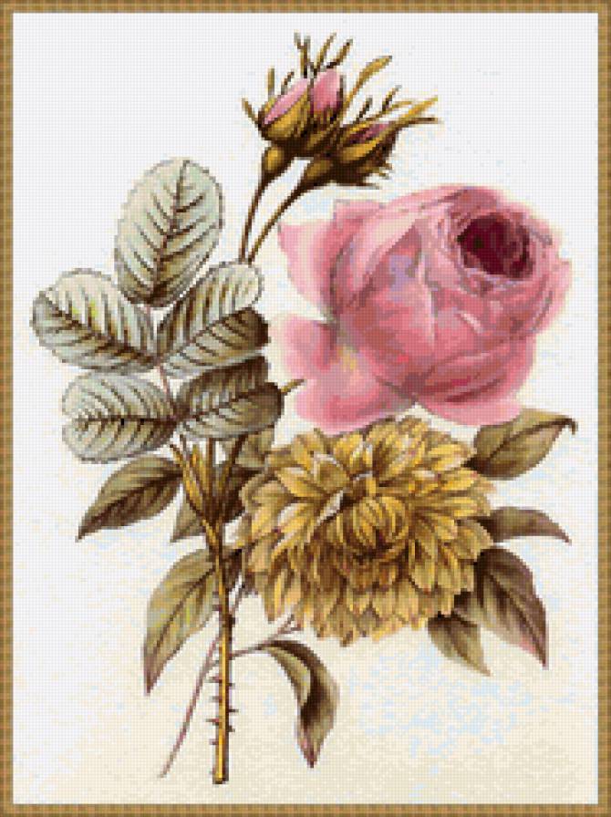 Цветы - букет, розы, цветы - предпросмотр